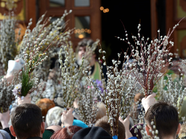 1645205 20140410130620