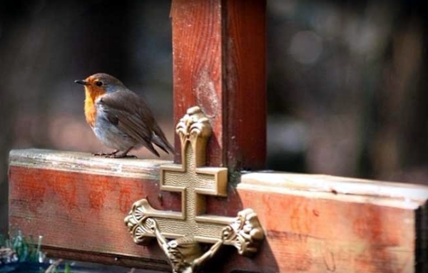 kakogo chisla pravoslavnaya Radunica v 2016 godu data tradicii prazdnika 3